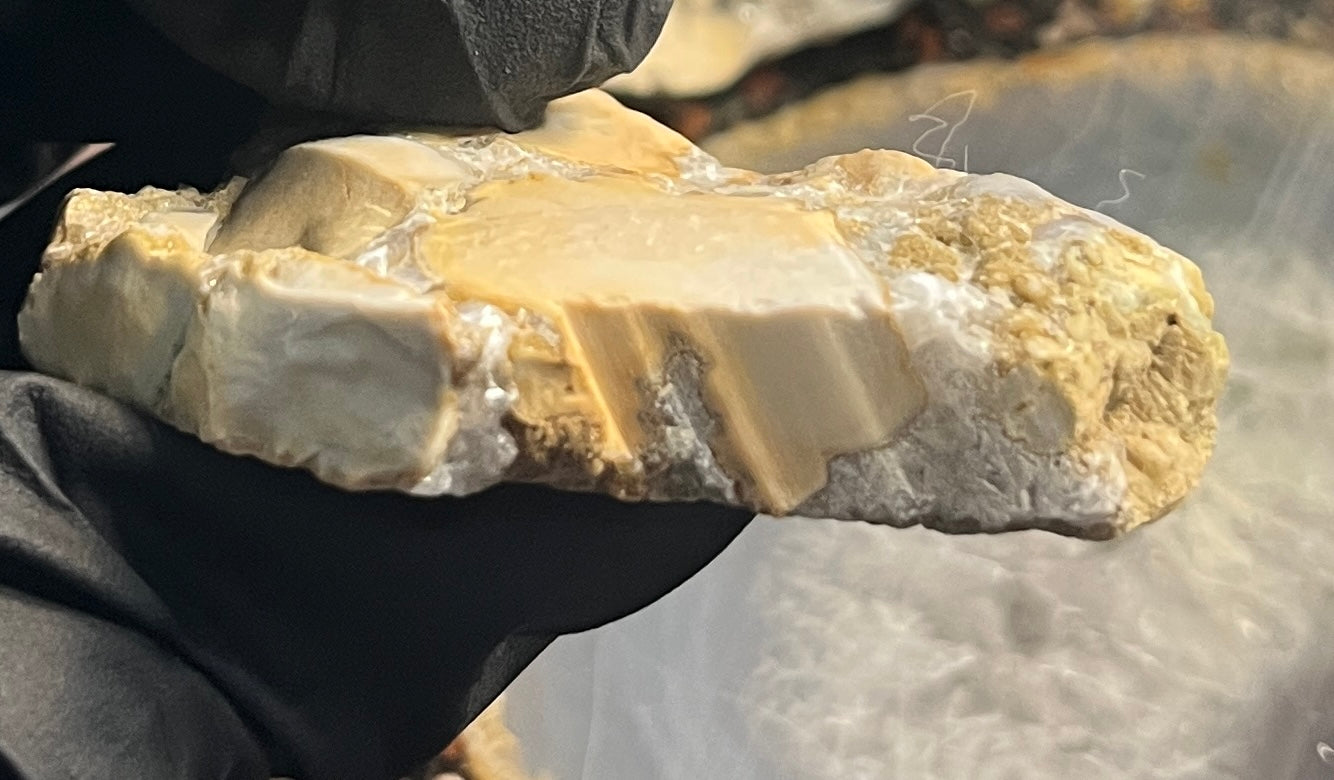 Rare Cobra Jasper Slab | Polishing Rough | Orbicular Stone | Lapidary Raw