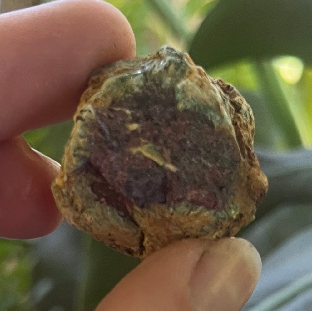 Natural Ruby in Fuchsite Specimen | Raw Ruby Crystal Specimen