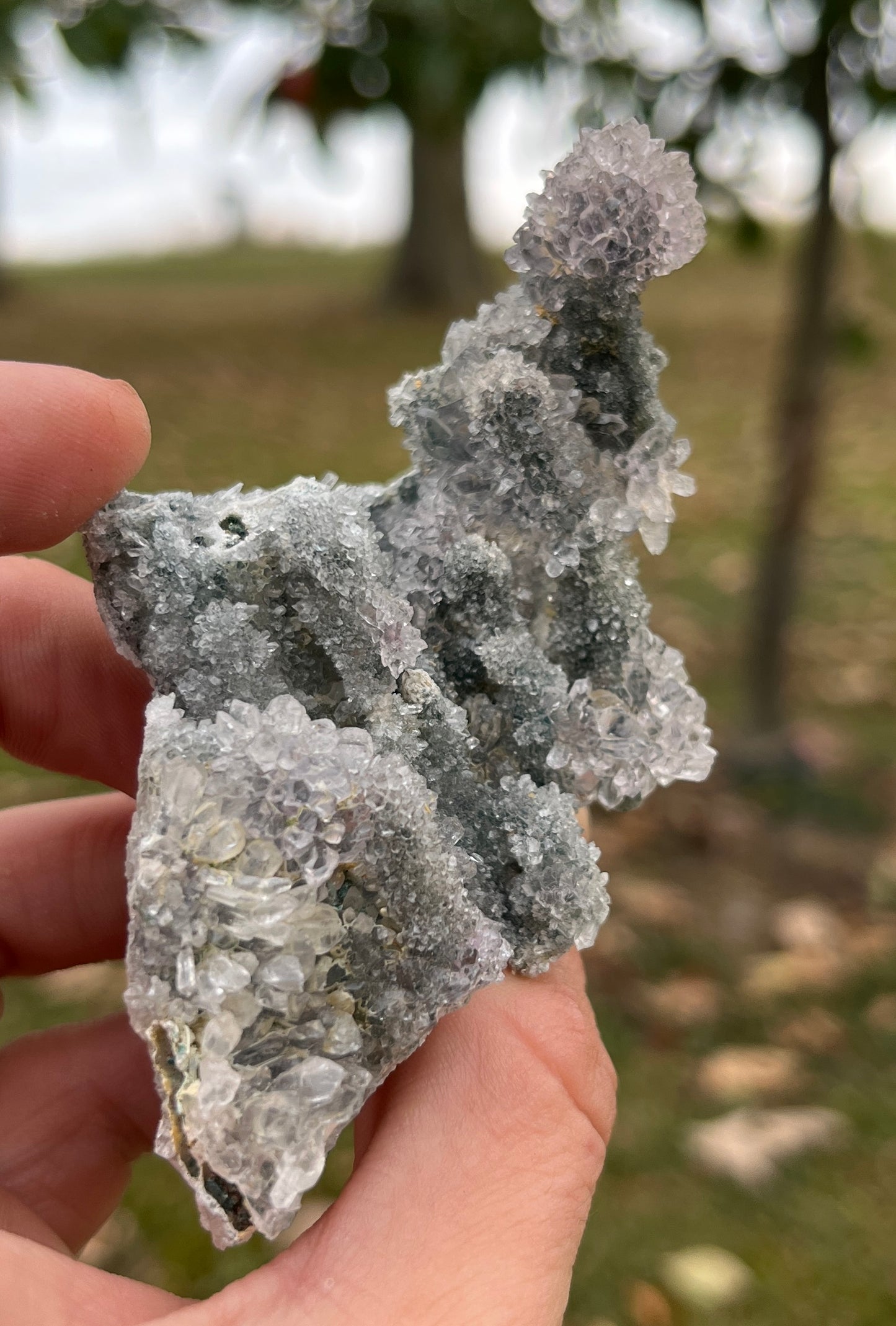 Rare Zeolite Mineral Flower Cluster from Brazil | Botryoidal Quartz Collector Specimen