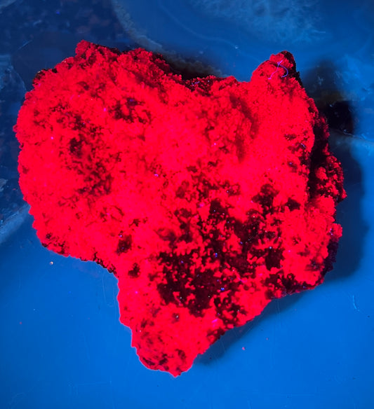 Fluorescent Honeycomb Ruby Specimen - UV Reactive Corundum - Raw Magenta Ruby Crystal - Rare Mineral Decor -