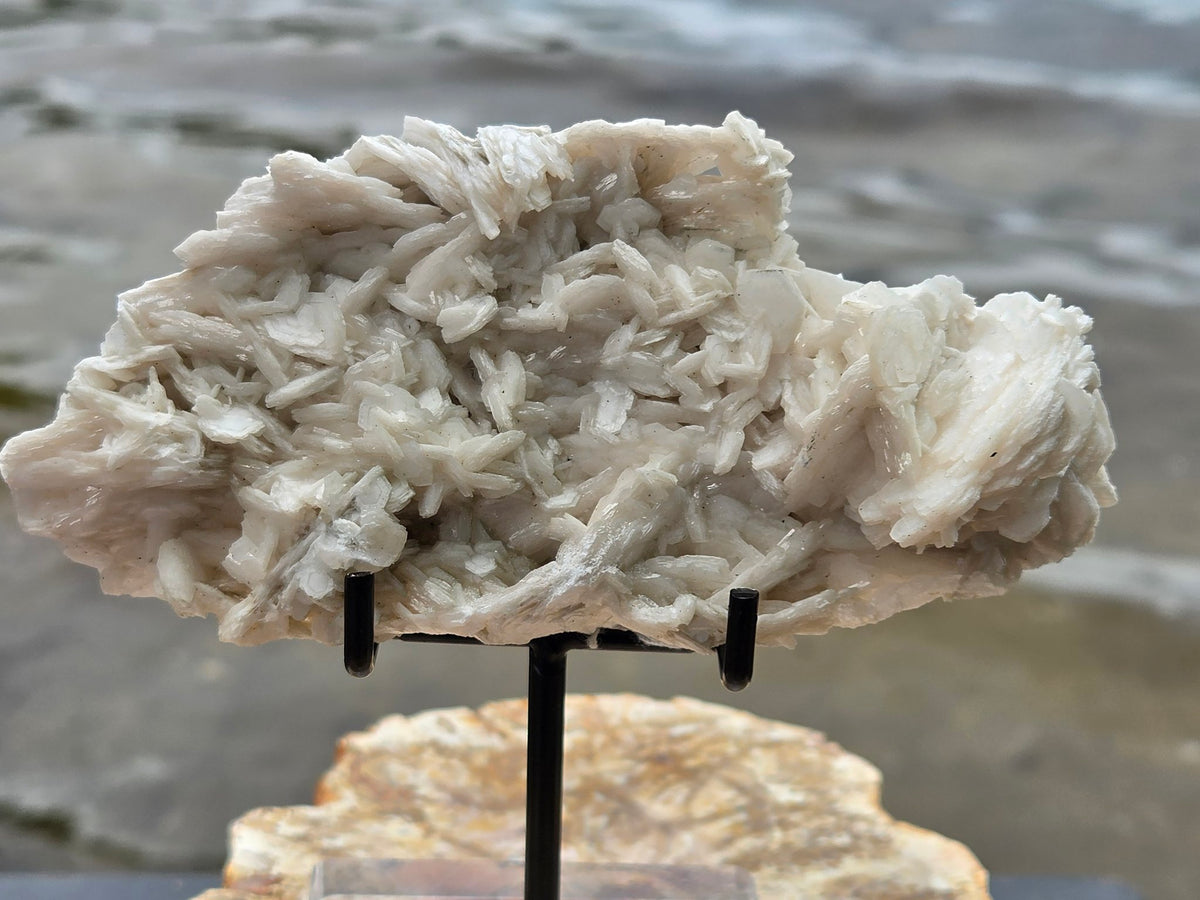 Pink rose petal calcite cluster front