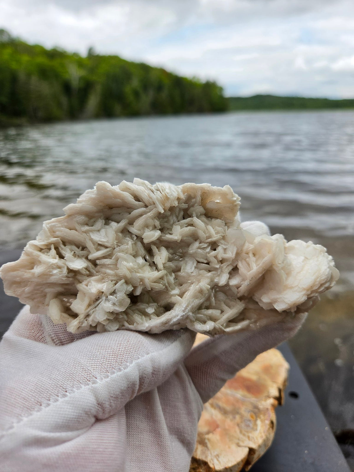 Pink rose petal calcite top view