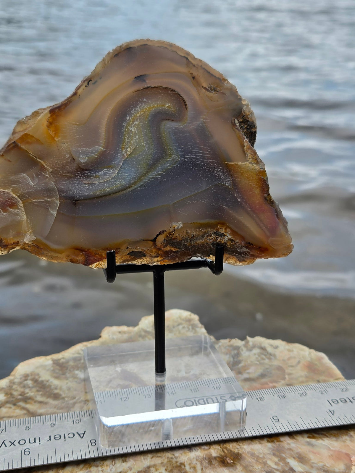 Agate slice with ruler