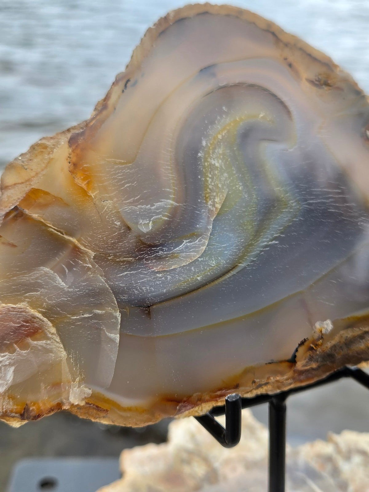 Polished agate slice closeup