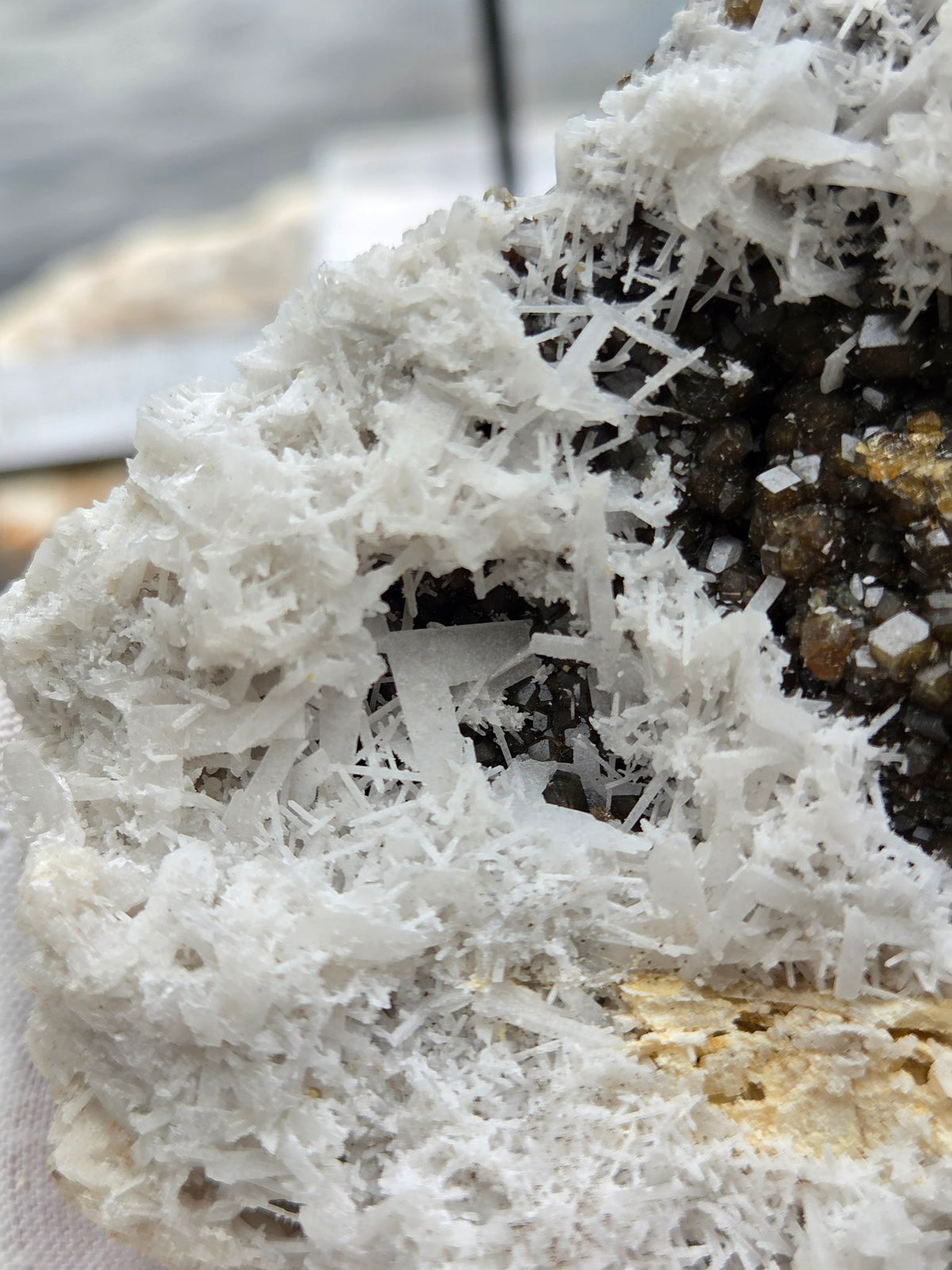 Garnet scolecite specimen side view