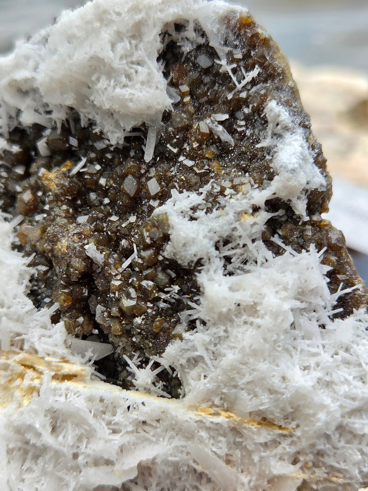 Scolecite needle crystals closeup with garnet
