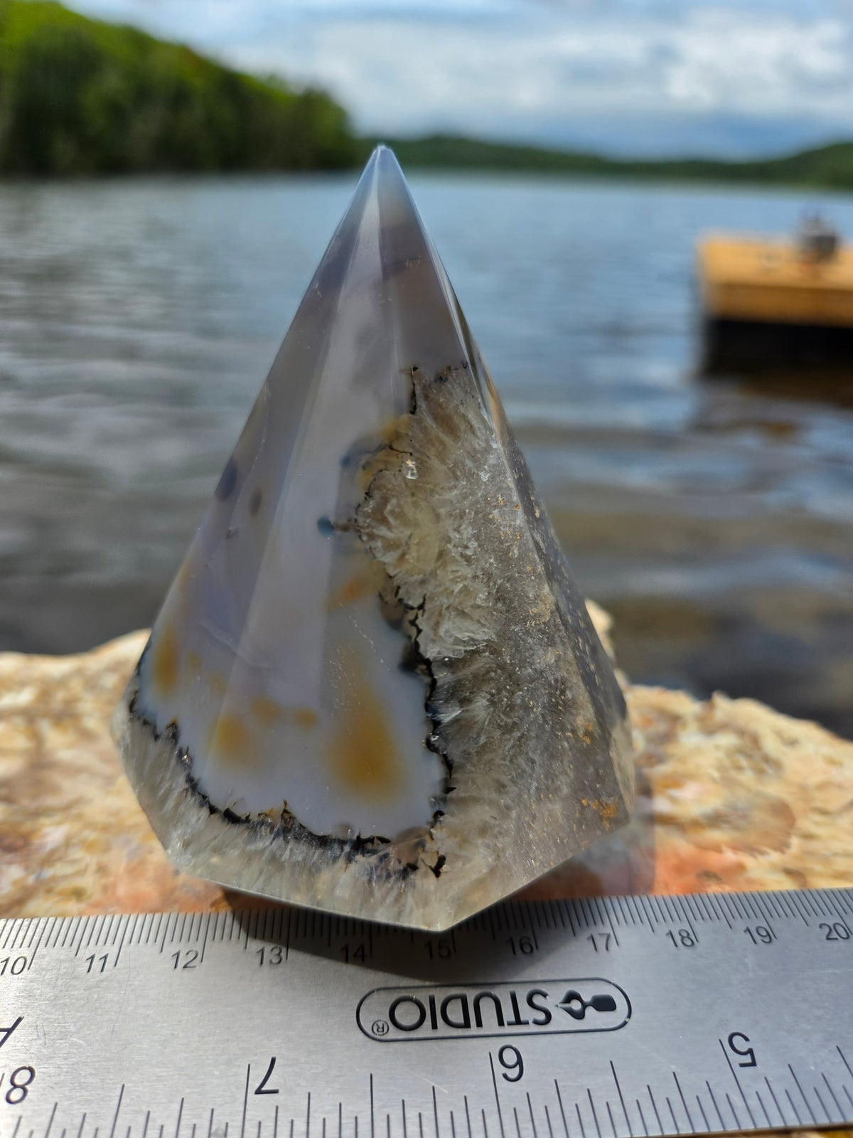 Polished agate tree outdoor view