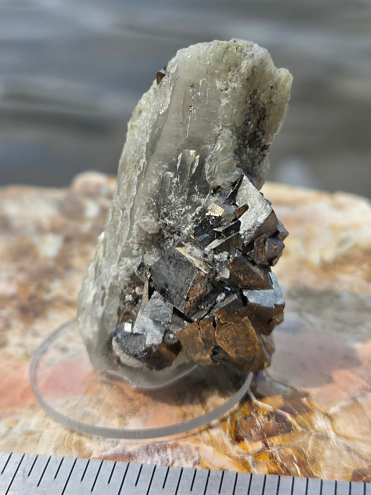 Arsenopyrite pyrite quartz back view