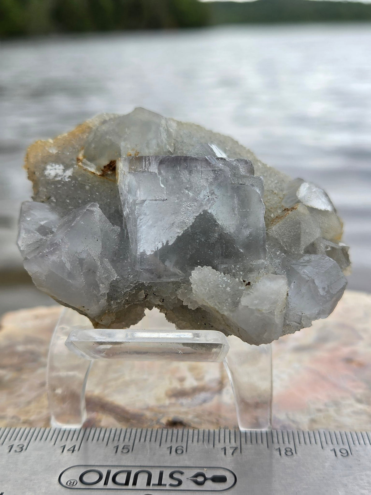 Large fluorite cubes on sugar quartz matrix, front view with ruler