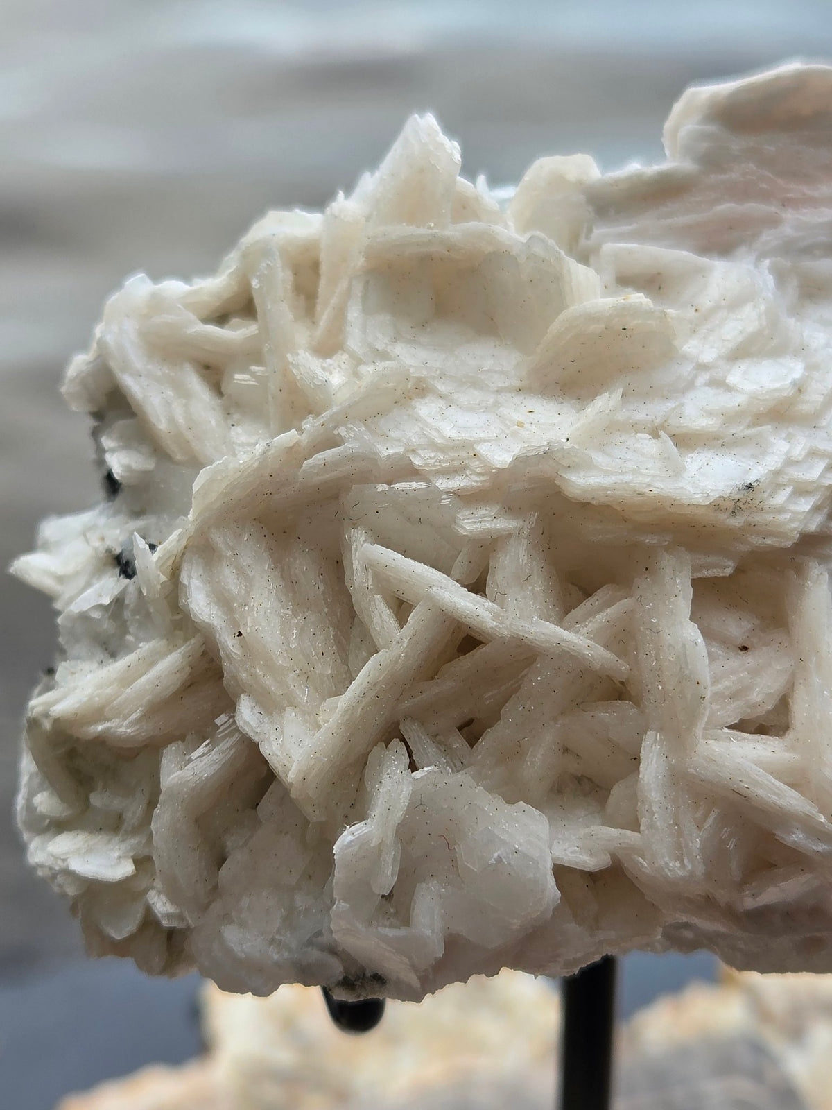 Rose petal calcite specimen from above