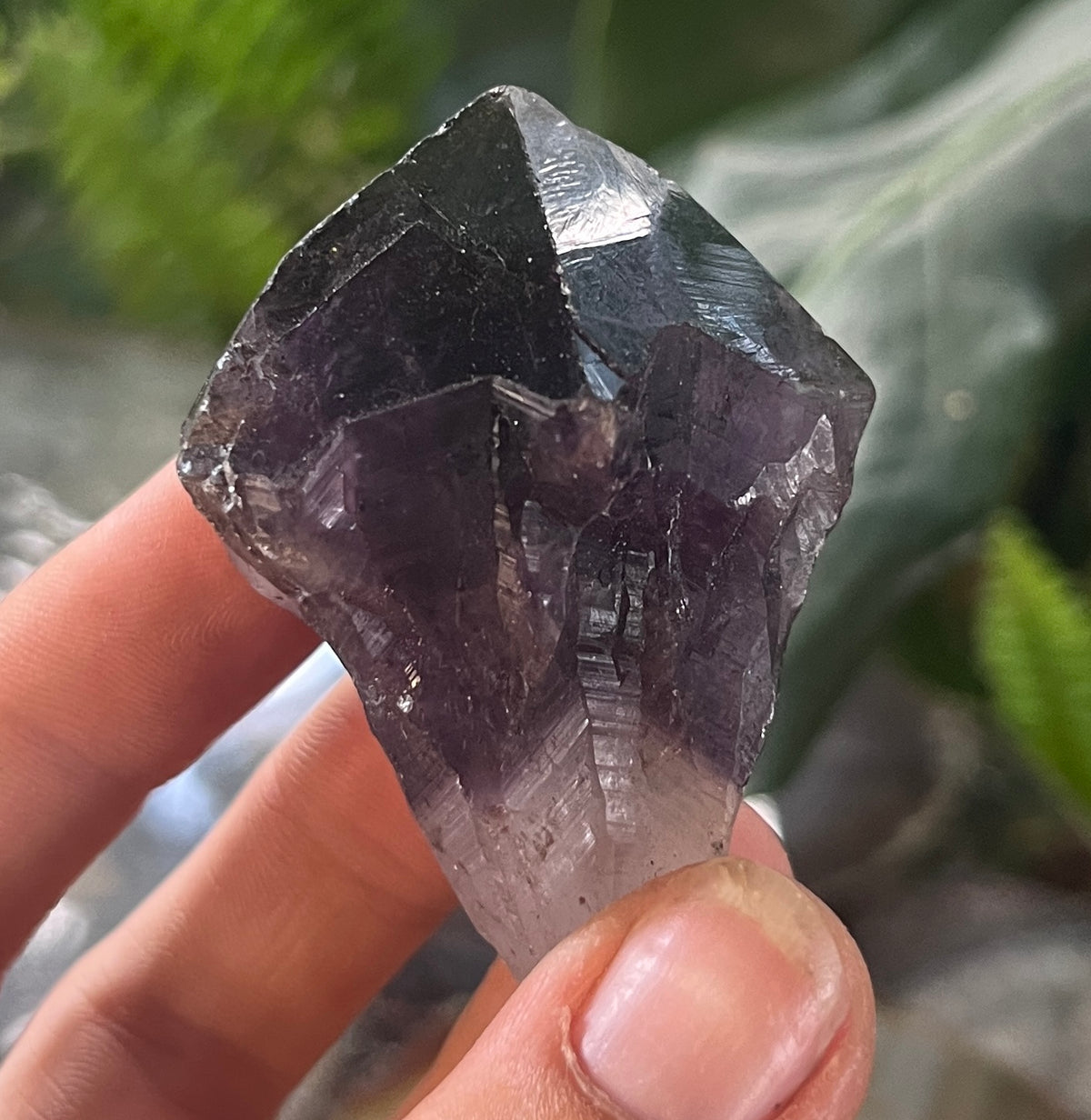 Deep Purple Amethyst Point | Raw Quartz Crystal Specimen
