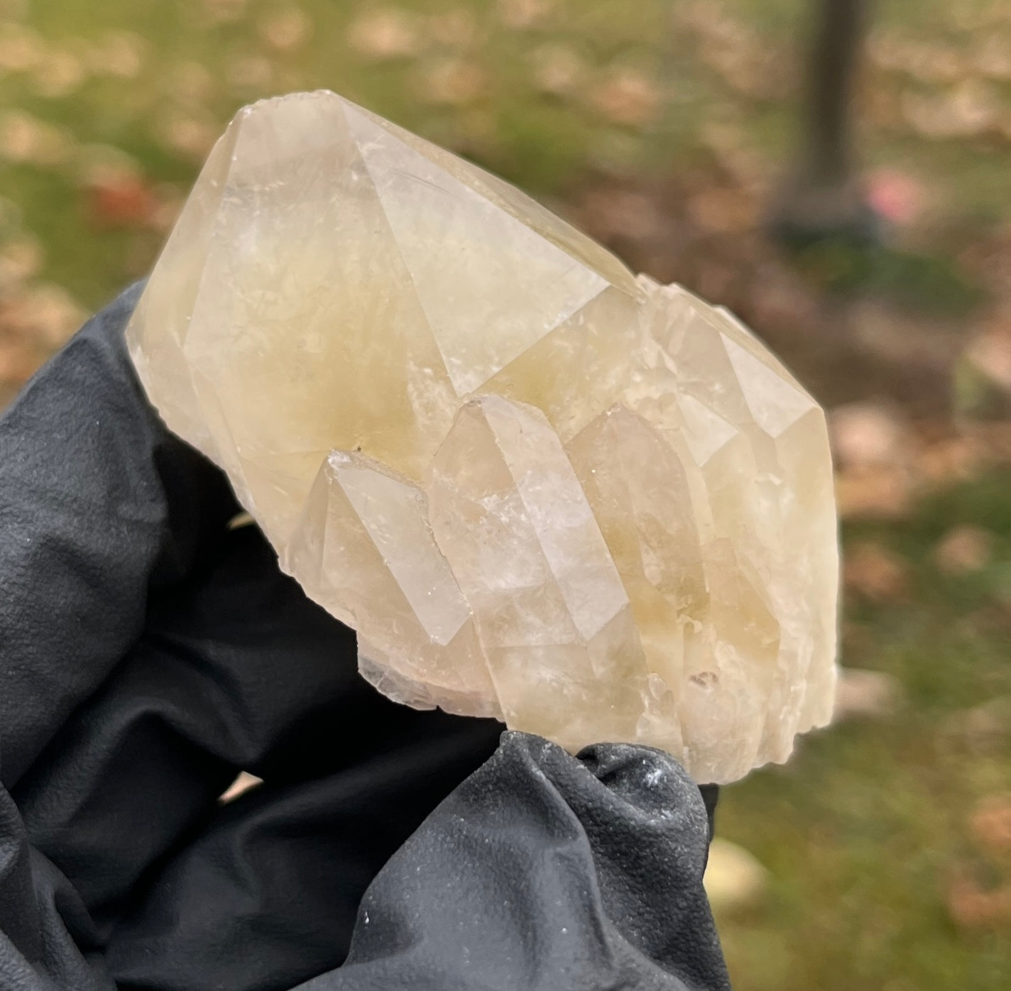 Natural Citrine Crystal – Manifestation, Prosperity & Joy Stone | Raw Crystal | Healing Energy Crystal