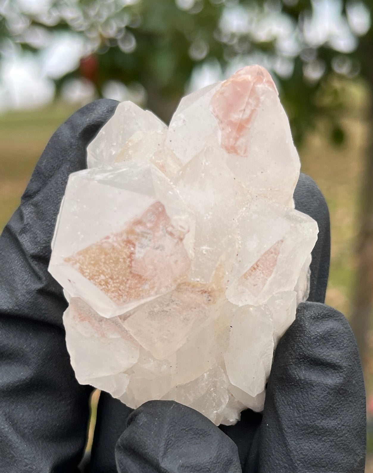 Rare Pink Lithium Quartz Cluster - Natural Crystal for Stress Relief, Calmness, and Energy Work - High-Quality Specimen