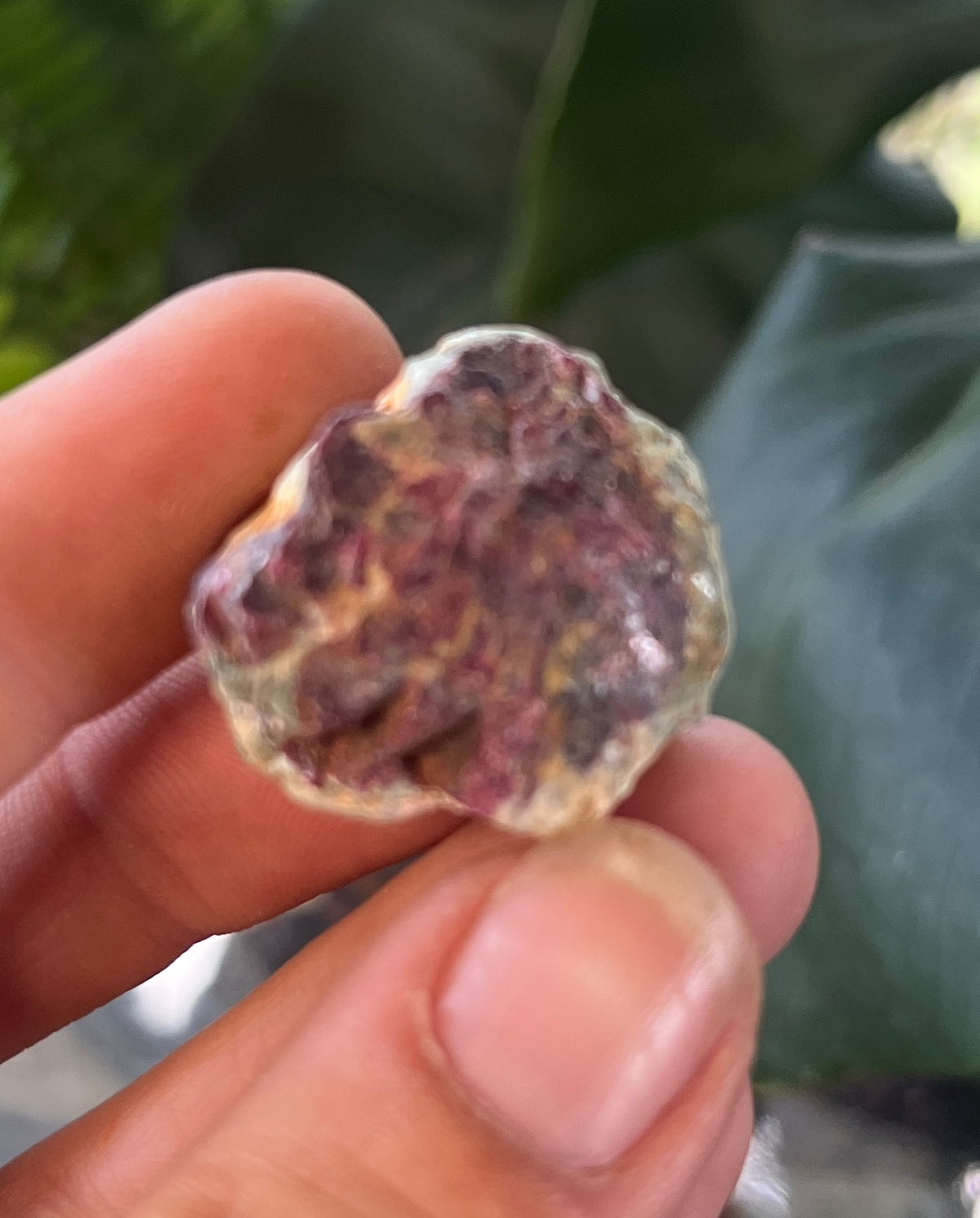 Natural Ruby in Fuchsite Specimen | Raw Ruby Crystal Specimen