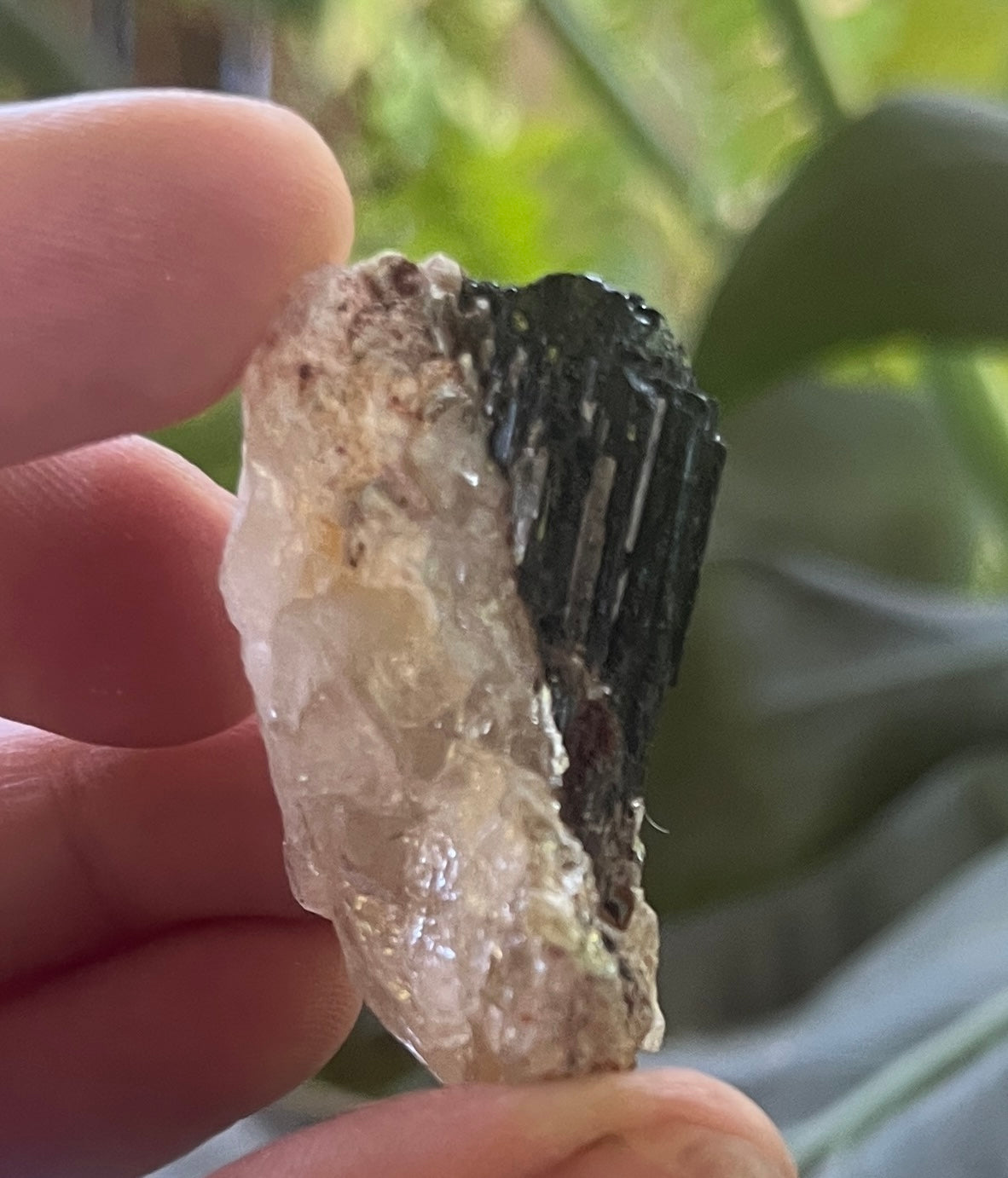 Raw Black Tourmaline in Calcite Specimen - Natural Schorl Crystal Cluster