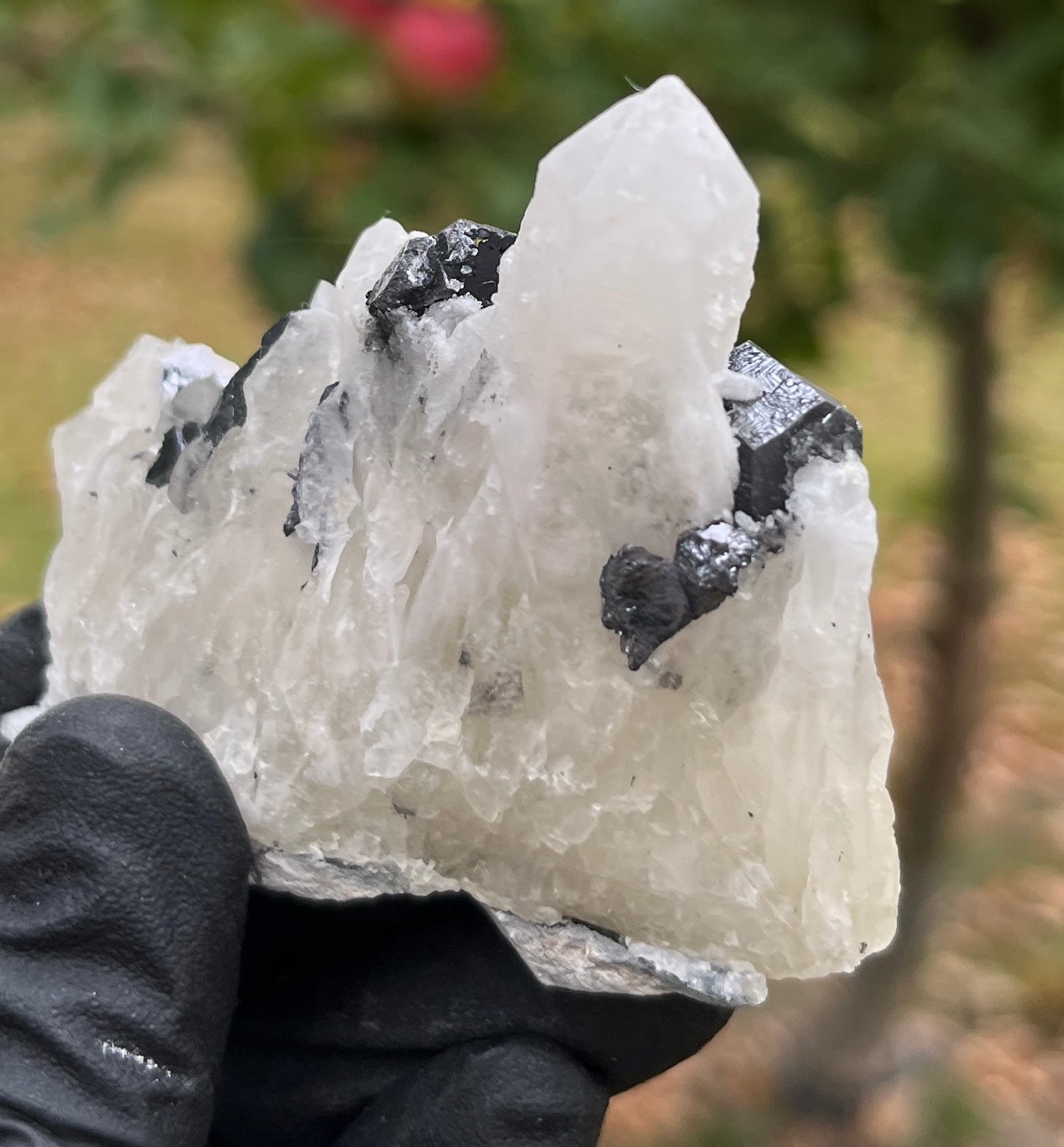 Raw Galena & Quartz Crystal Specimen | Natural Grounding Stone for Protection, Stability & Mineral Collectors