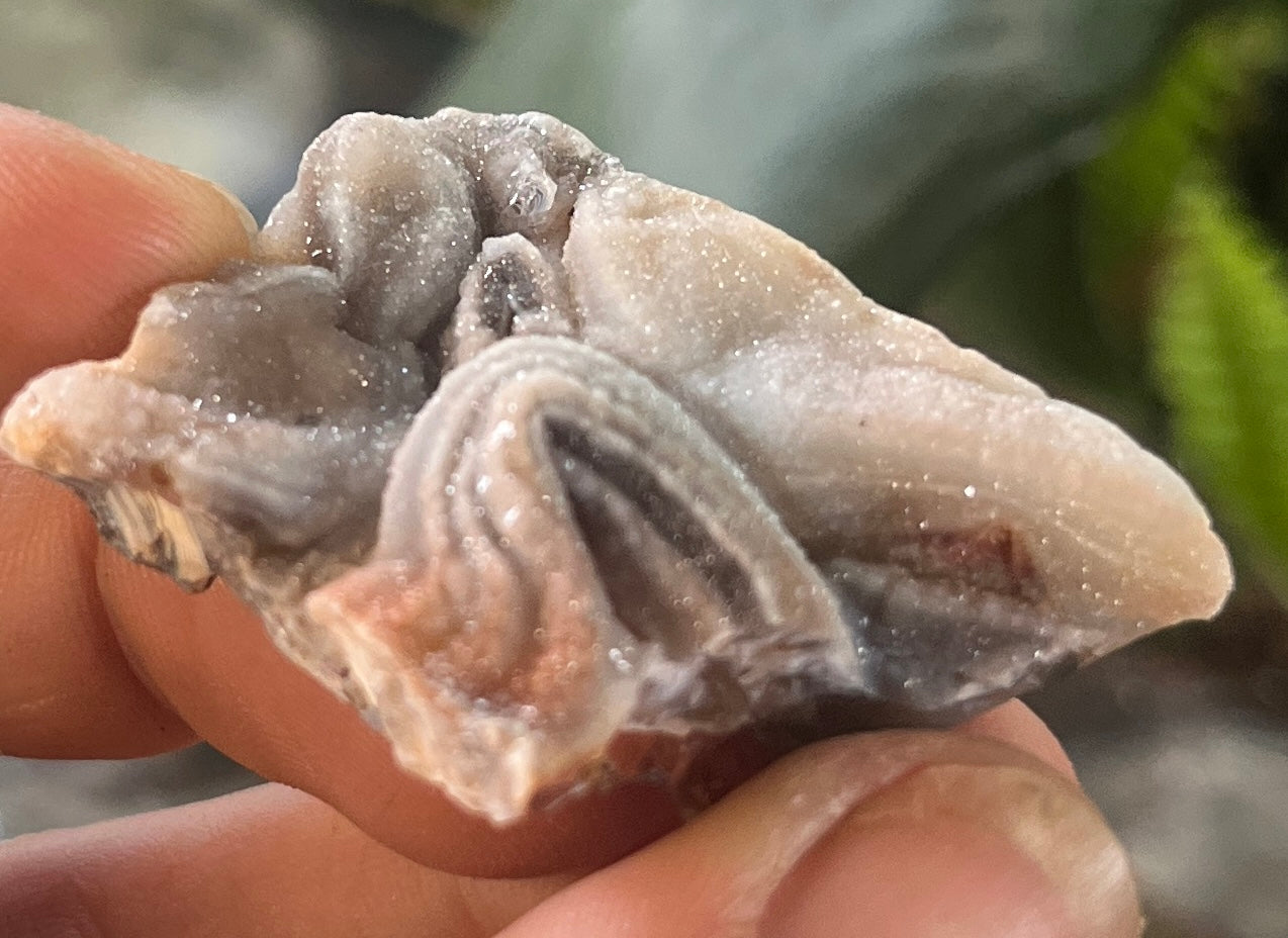 Raw Sparkling Sparkly Druzy Chalcedony Specimen - Botryoidal Grey Chalcedony