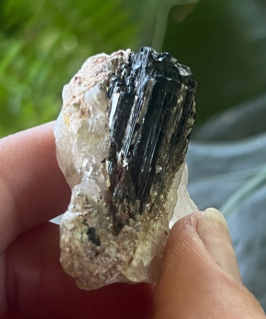 Raw Black Tourmaline in Calcite Specimen - Natural Schorl Crystal Cluster