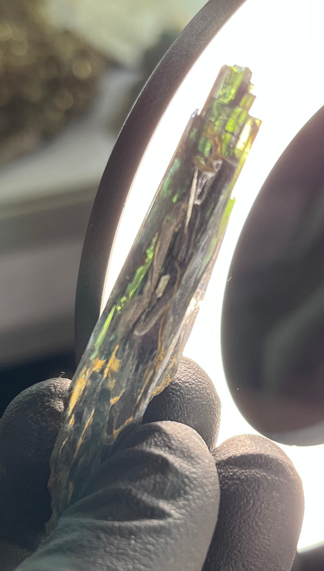 Vivianite Crystal from Brazil | Rare Dark Green Mineral Specimen for Self-Reflection & Insight