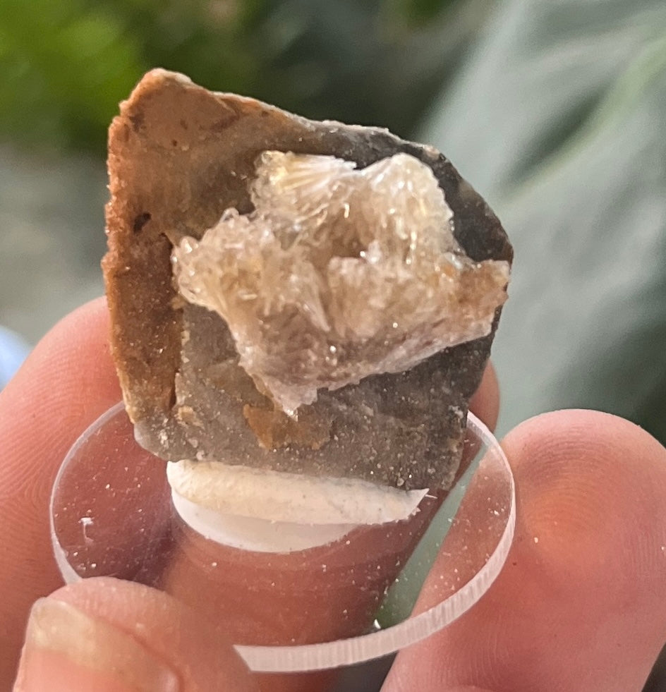 Raw Selenite Starburst Specimen on Matrix | "Ultra Violet" Selenite for