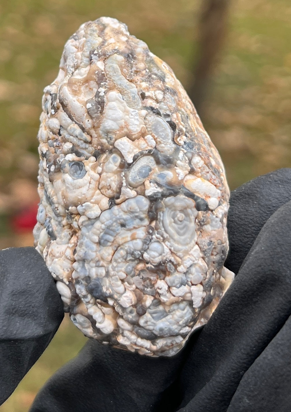 Natural Agate Geode Half | Sparkling Quartz Crystal Display Stone | Unique Bubbly Exterior Mineral Specimen