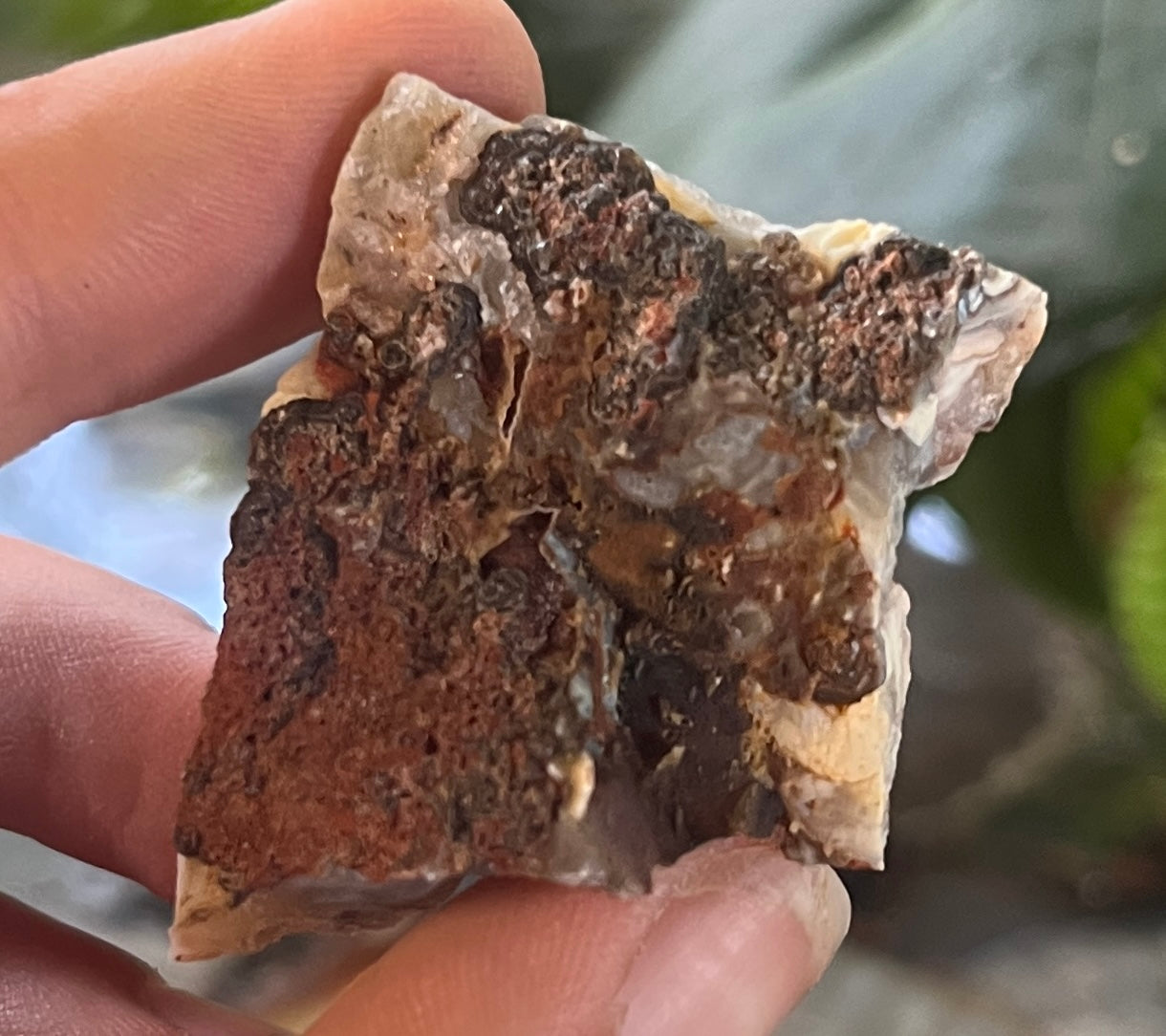 Raw Sparkling Sparkly Druzy Chalcedony Specimen - Botryoidal Grey Chalcedony
