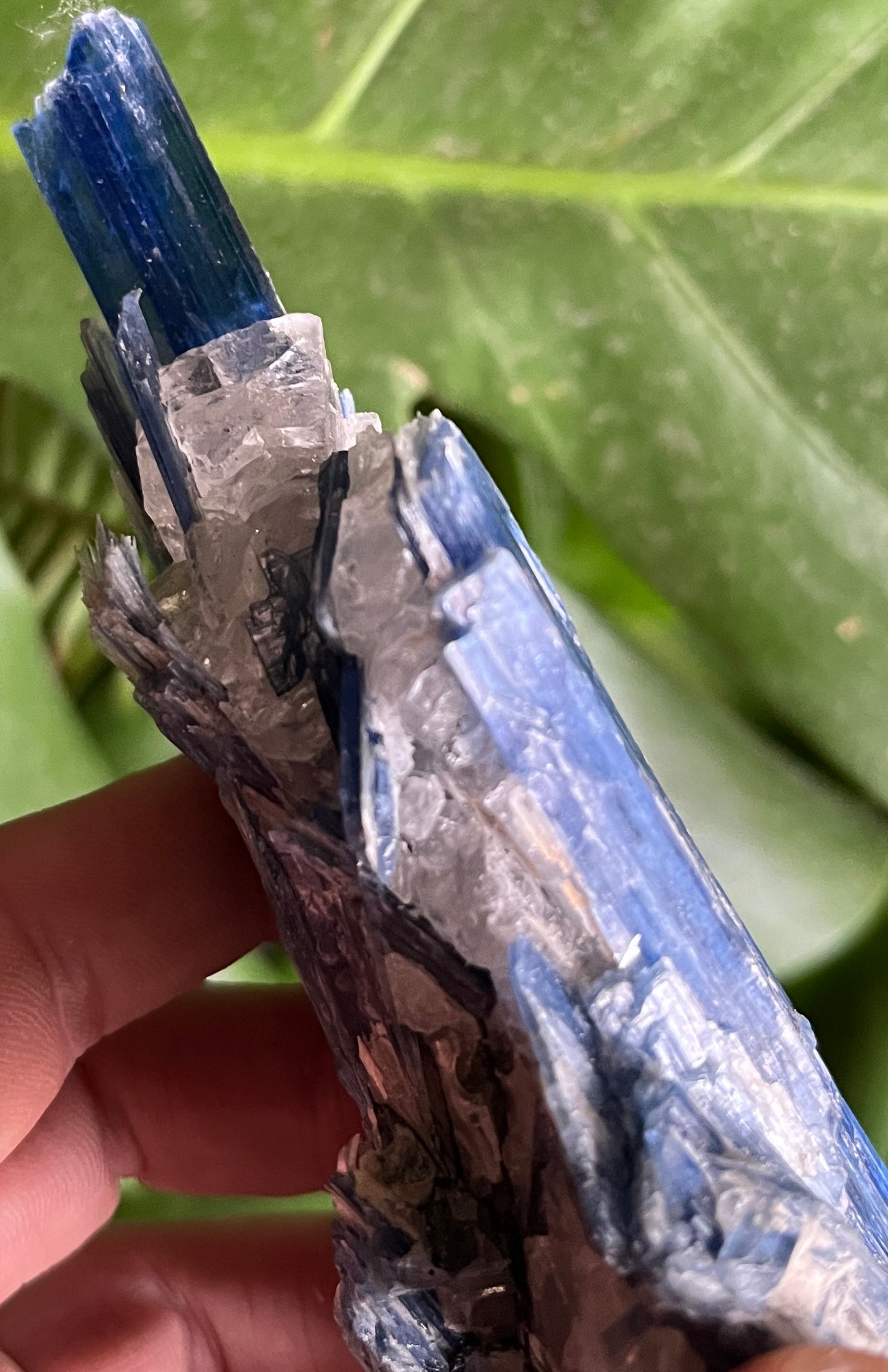 High-Grade Blue Kyanite with Quartz Cluster | Raw Crystal Specimen for Alignment & Communication