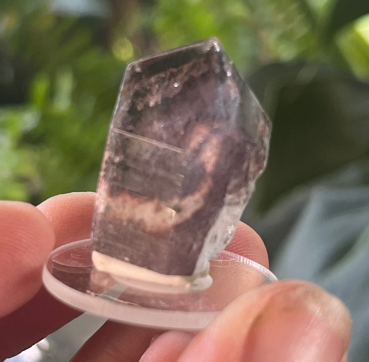 Clear Garden Quartz Speciem | Lodolite Quartz Point