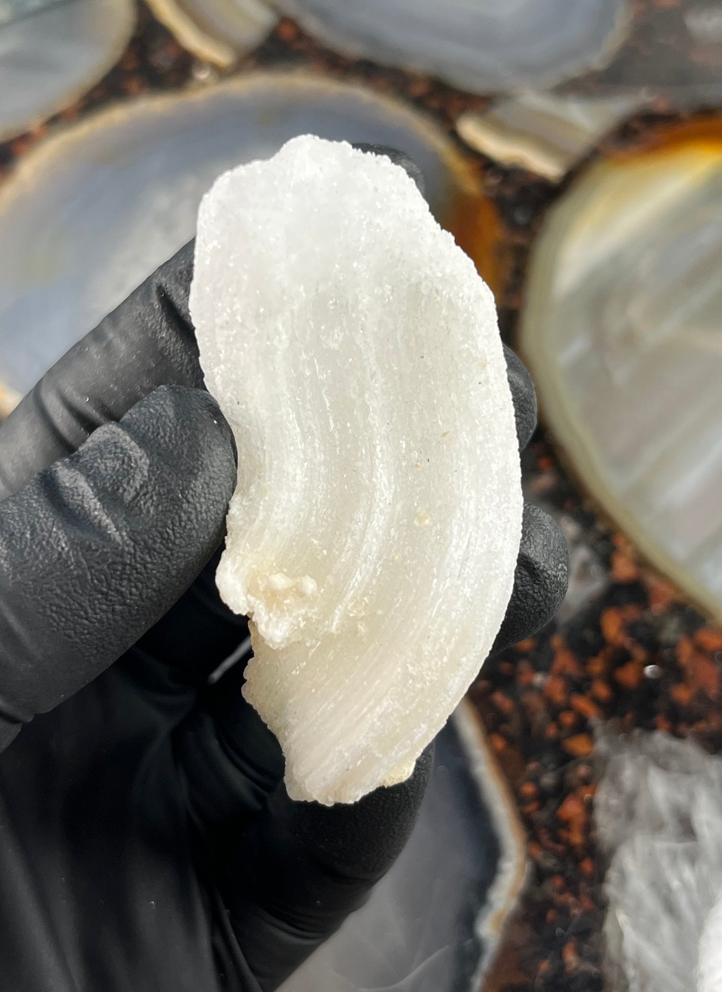 Ram's Horn Selenite Crystal | UV Reactive Mineral | Selenite Specimen for Energy Cleansing & Charging | Ulta Violet Crystal