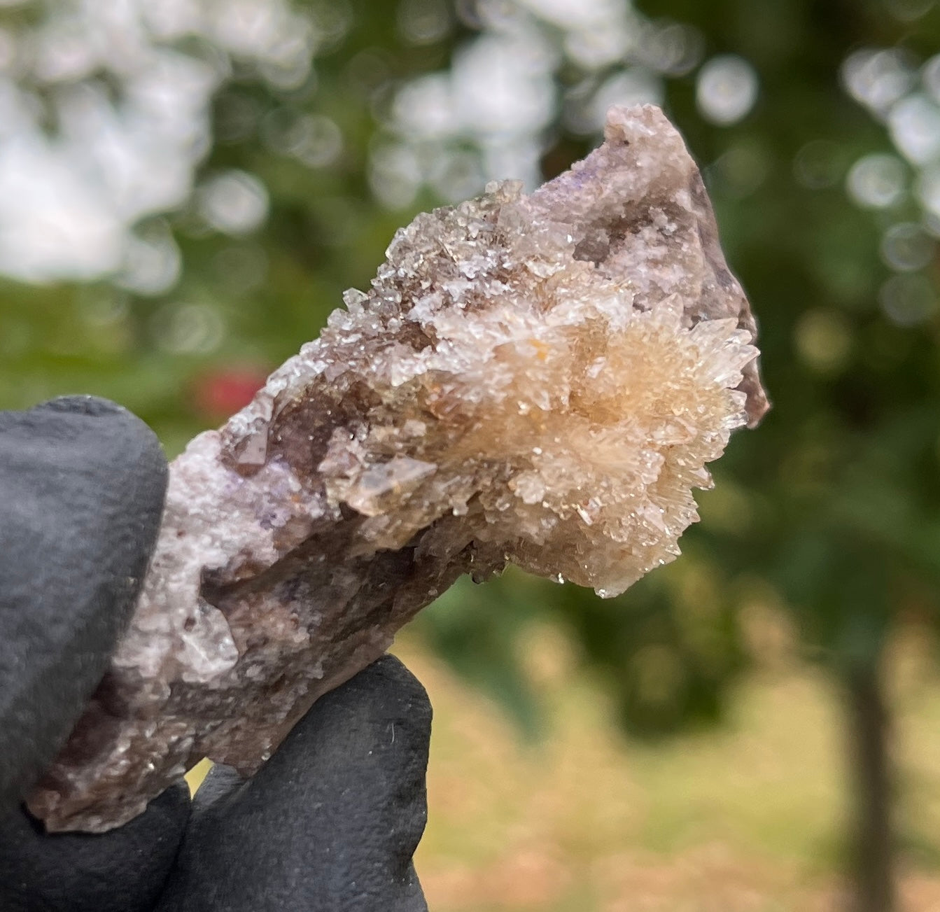 Raw Selenite Starburst Specimen on Matrix | "Ultra Violet" Selenite for Cleansing & High Vibration