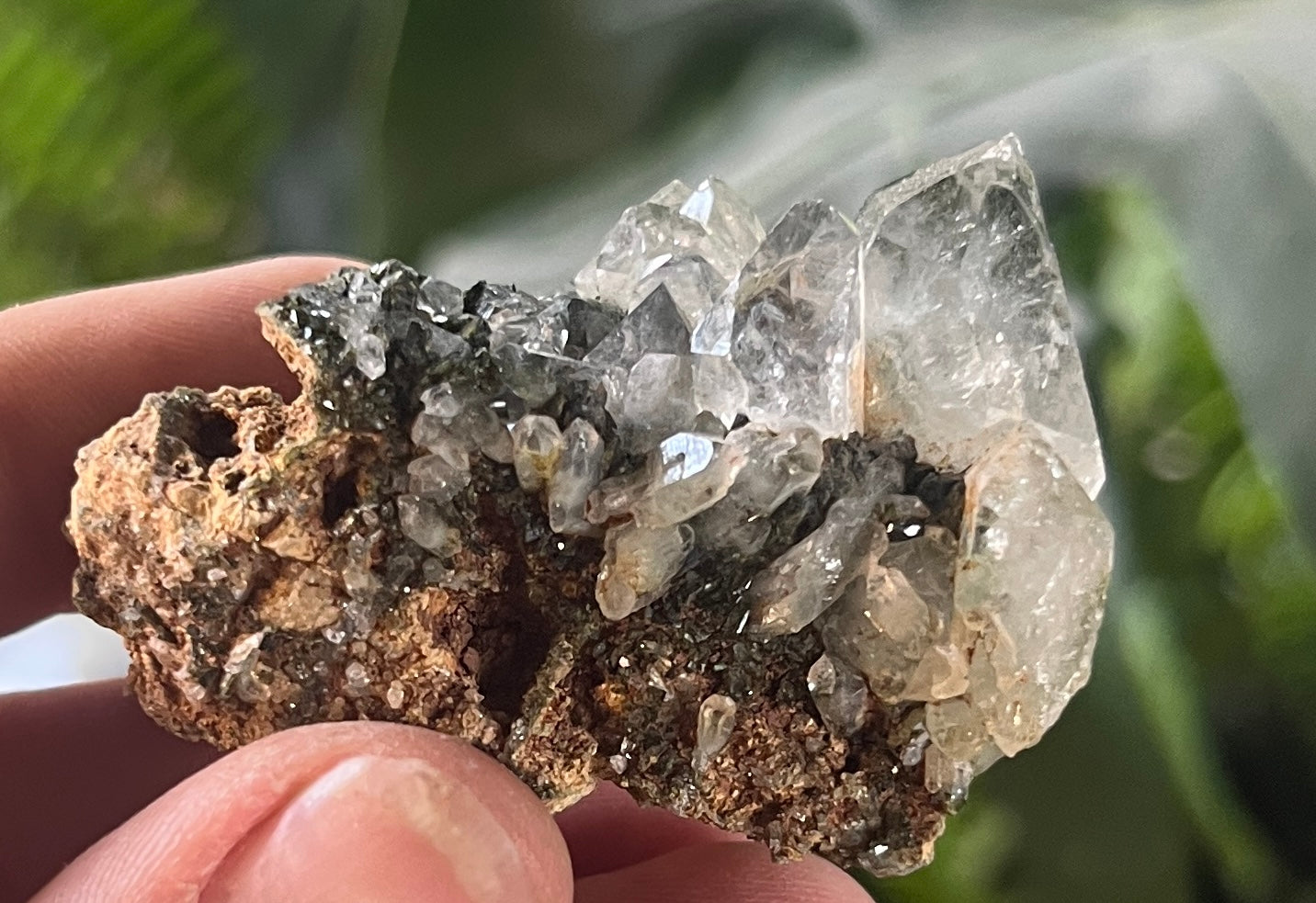 Forest Epidote with Quartz – Sparkling Green Growth Crystal