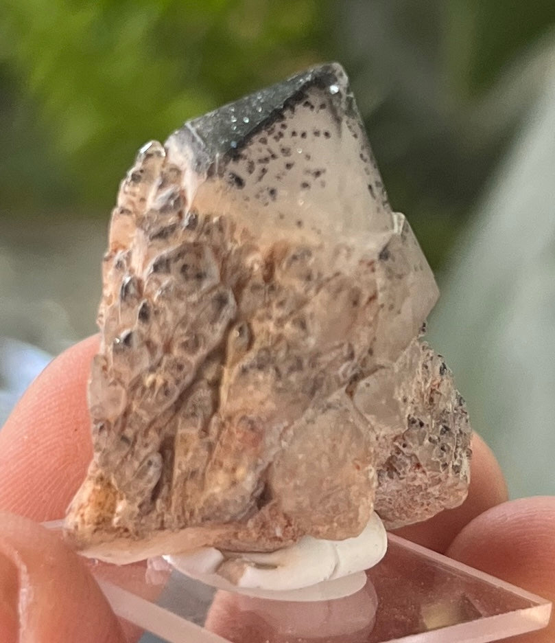 Rare Quartz Crystal Cluster, Black Hematite/Goethite Inclusions