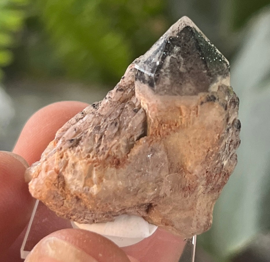Rare Quartz Crystal Cluster, Black Hematite/Goethite Inclusions