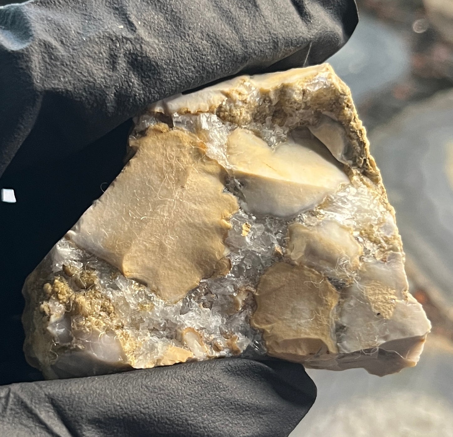 Rare Cobra Jasper Slab | Polishing Rough | Orbicular Stone | Lapidary Raw