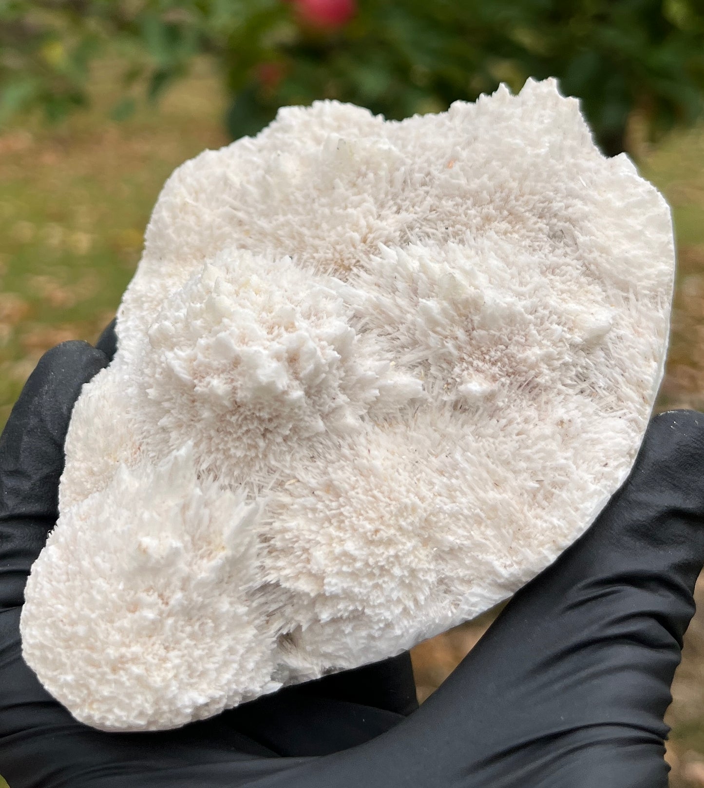 Large Rare Scolecite Specimen | Natural Zeolite Crystal | Unique Spiky Mineral Cluster | High-Vibration Stone for Peace & Tranquility | Crystal Decor