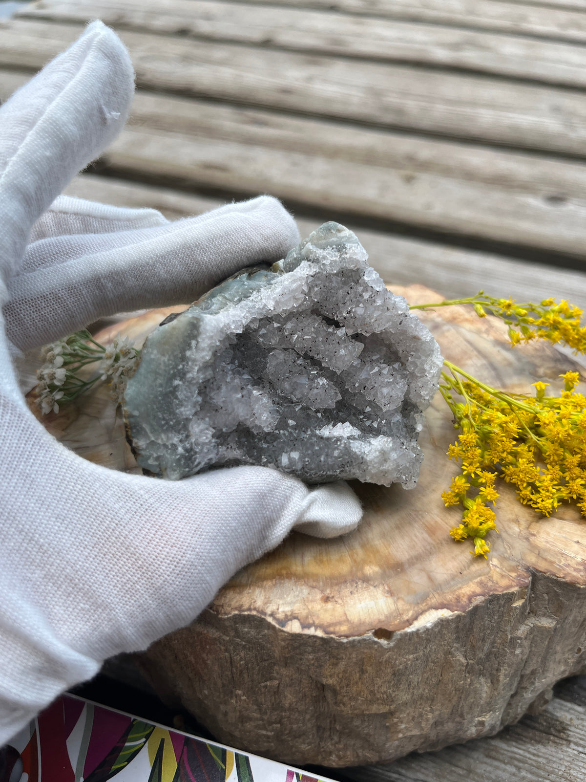 Raw Brazilian Amethyst Geode Specimen - Natural Sparkling Quartz Druzy Cave