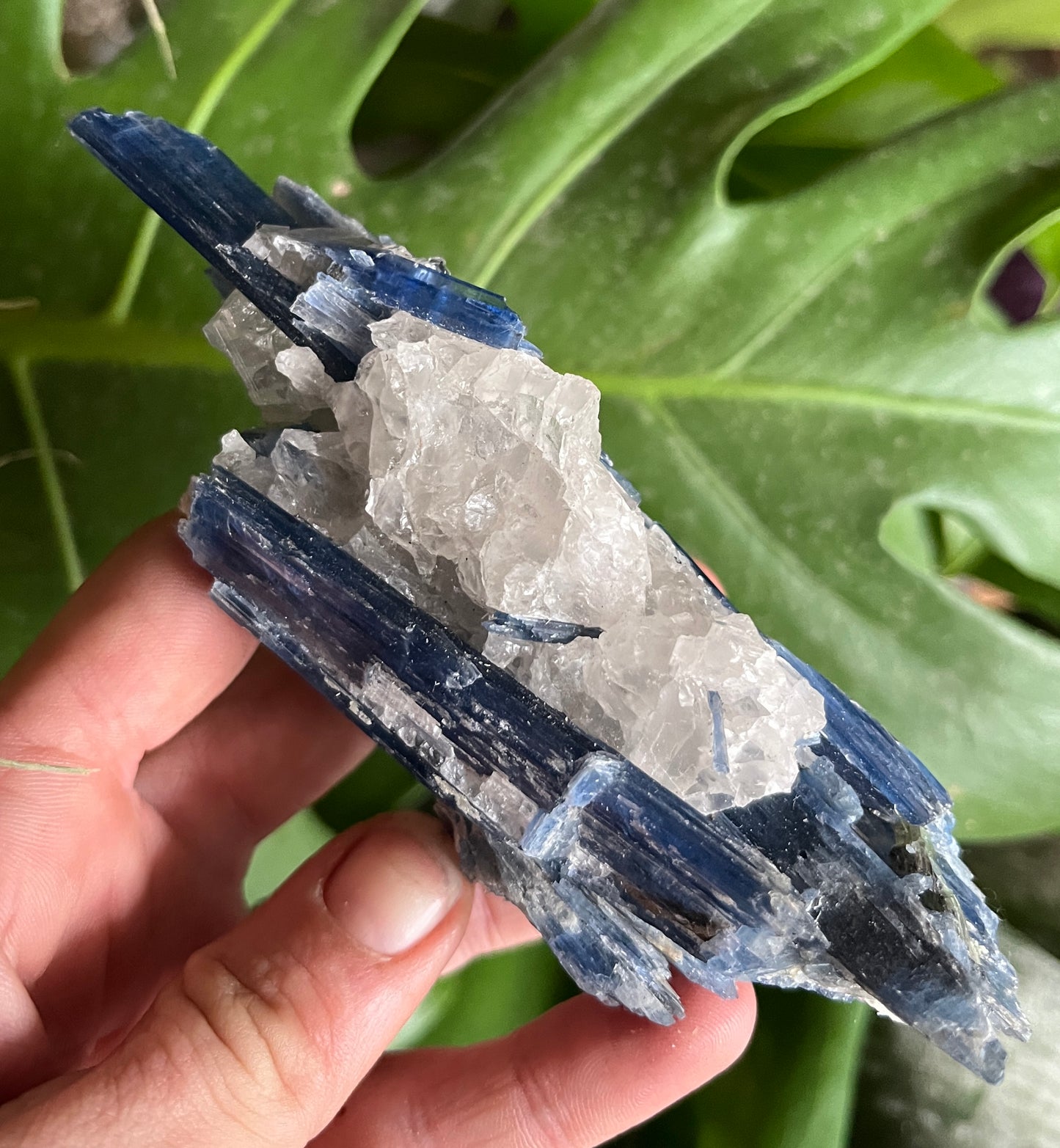 High-Grade Blue Kyanite with Quartz Cluster | Raw Crystal Specimen for Alignment & Communication