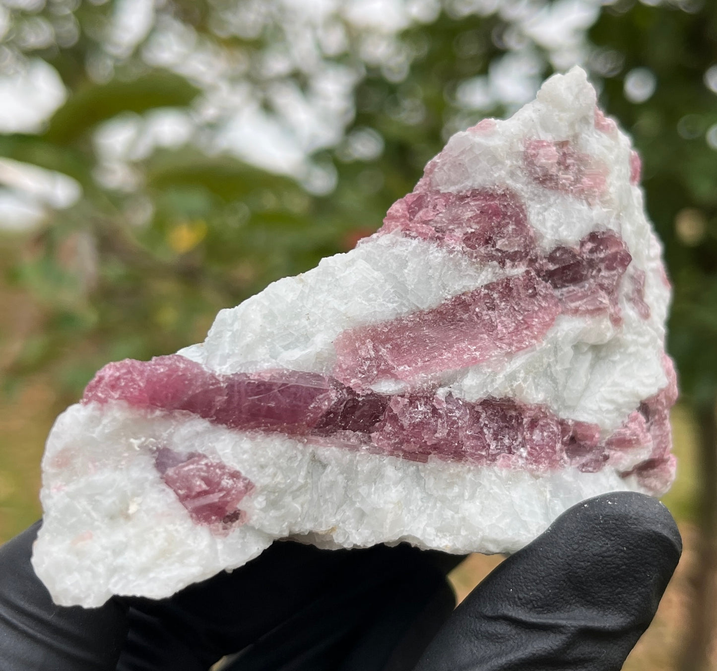 Pink Tourmaline in Matrix Specimen | Natural Rubellite Crystal for Heart Chakra & Emotional Healing