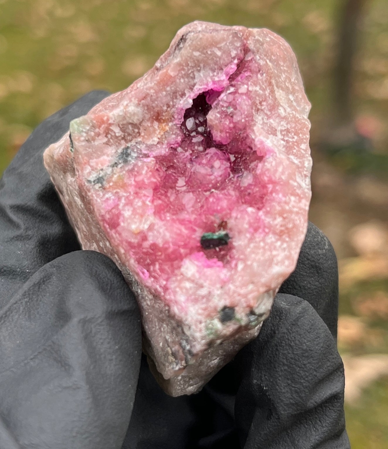 RARE Pink Cobaltoan Calcite Geode with Malachite - Aphrodite Stone - Raw Collector Specimen for Heart Healing & Compassion