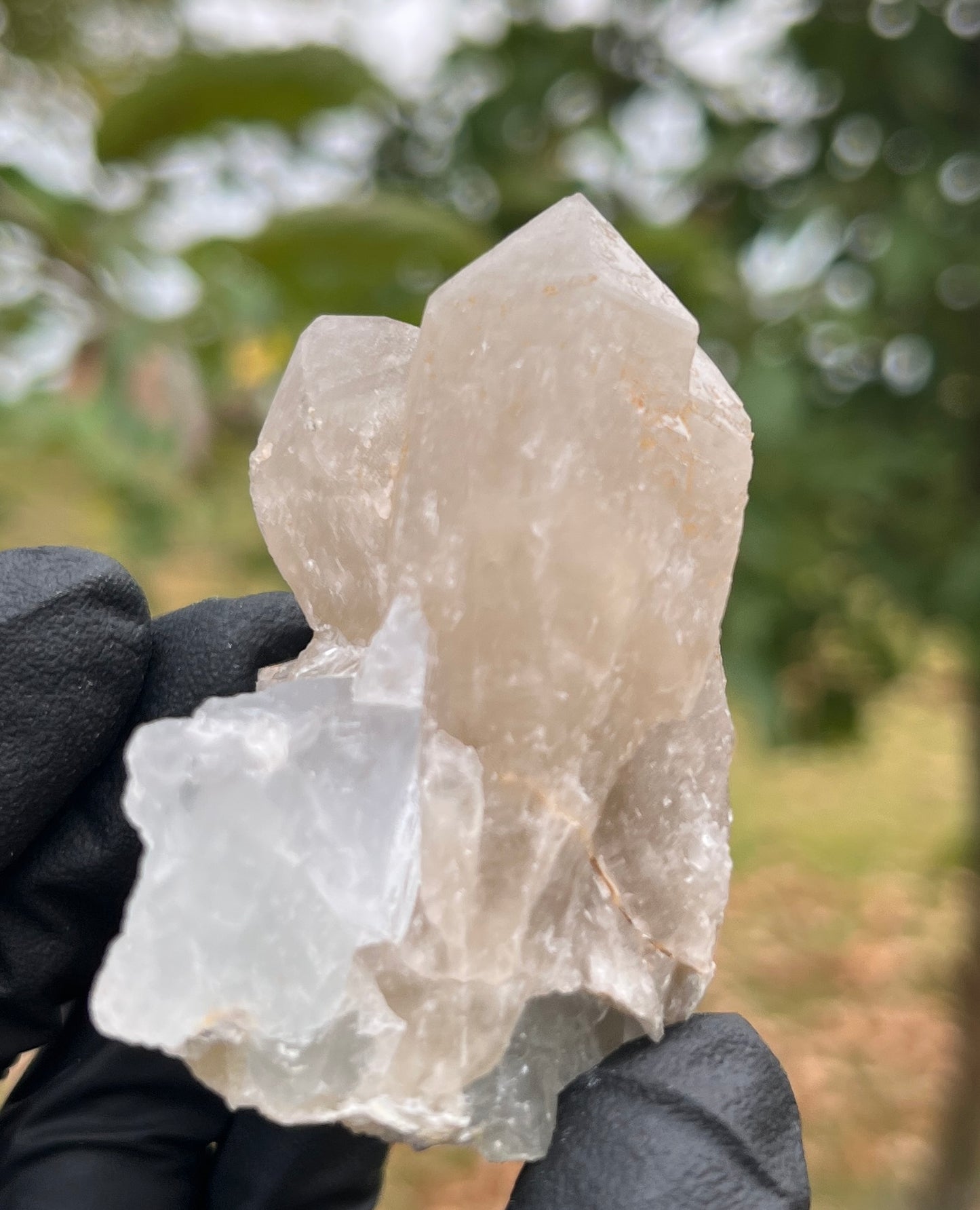 Blue Fluorite on Quartz Crystal Specimen | Raw Mineral Cluster | Collector Stone | Healing Crystal Home Decor