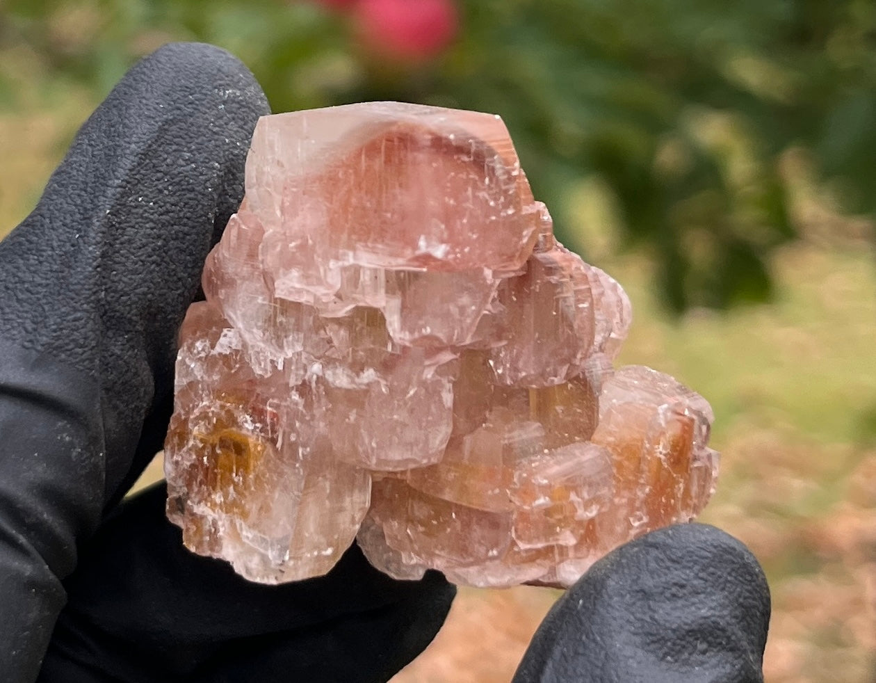 Red Phantom Calcite Cluster | Rare Natural Crystal | Healing Stone for Energy & Motivation