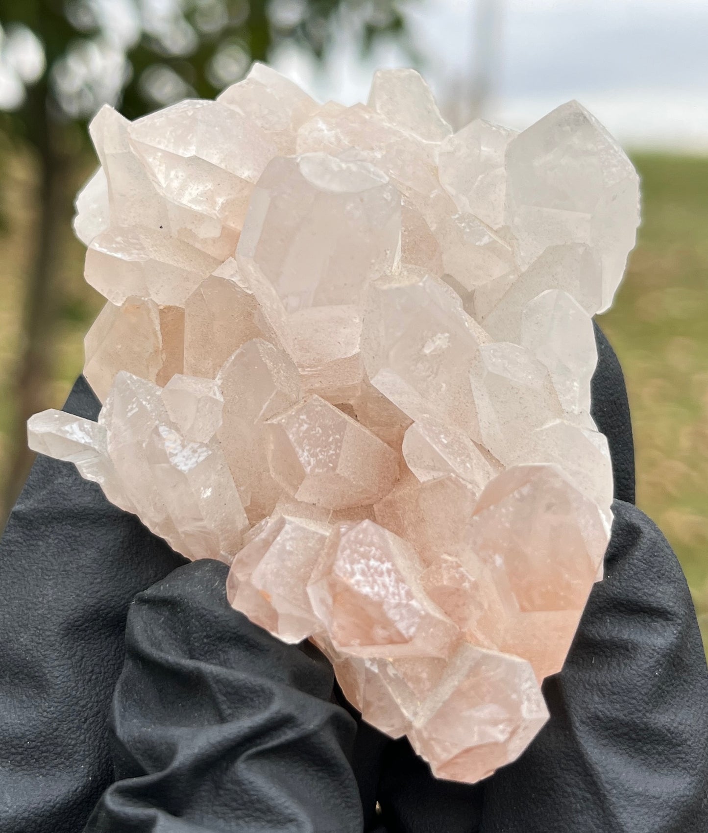 Natural Orange Hematoid Quartz Crystal Cluster | Raw Tangerine Quartz Specimen | High Quality Quartz | Crystal Grids & Healing