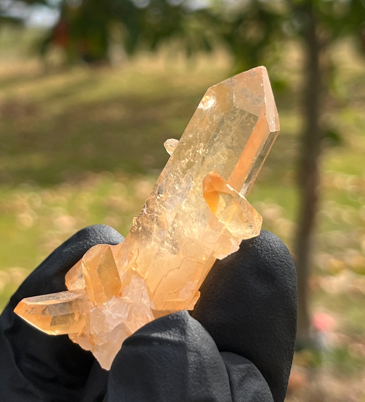 Natural Orange Hematoid Quartz Crystal Cluster | Raw Tangerine Quartz Specimen | High Quality Quartz | Crystal Grids & Healing