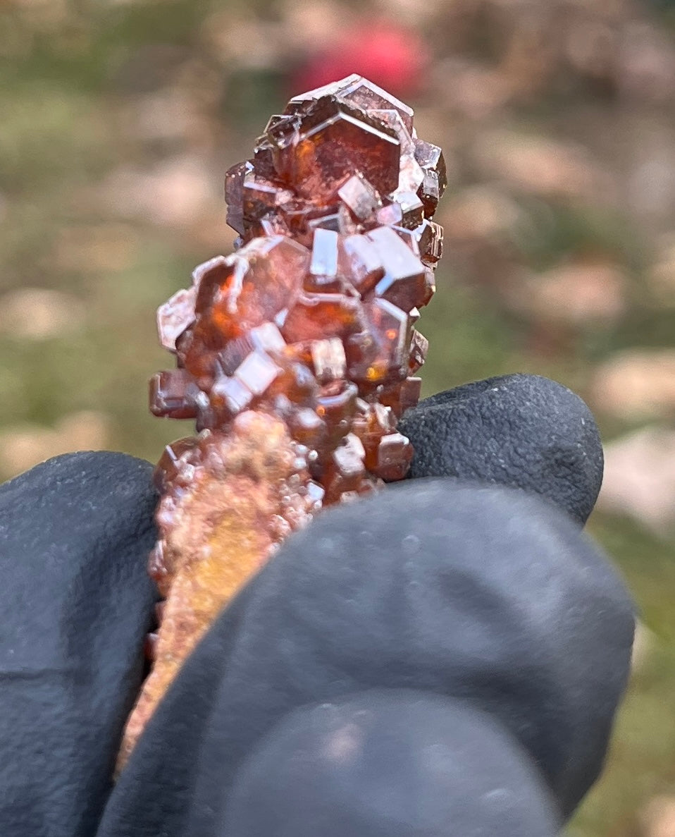 Exceptional Vanadinite Crystal Cluster | Deep Red-Orange Hexagonal Vanadinite on Matrix | Morocco Mineral Specimen | Collector Grade Healing Crystal
