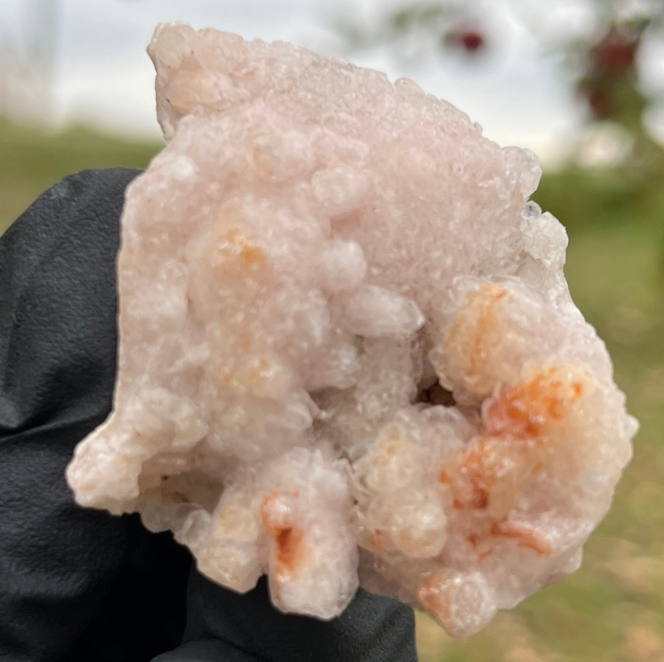 Rare Pink Amethyst Cluster | Botryoidal Raw Pink Amethyst Geode Specimen | High Grade Crystal Healing Home Decor Gift