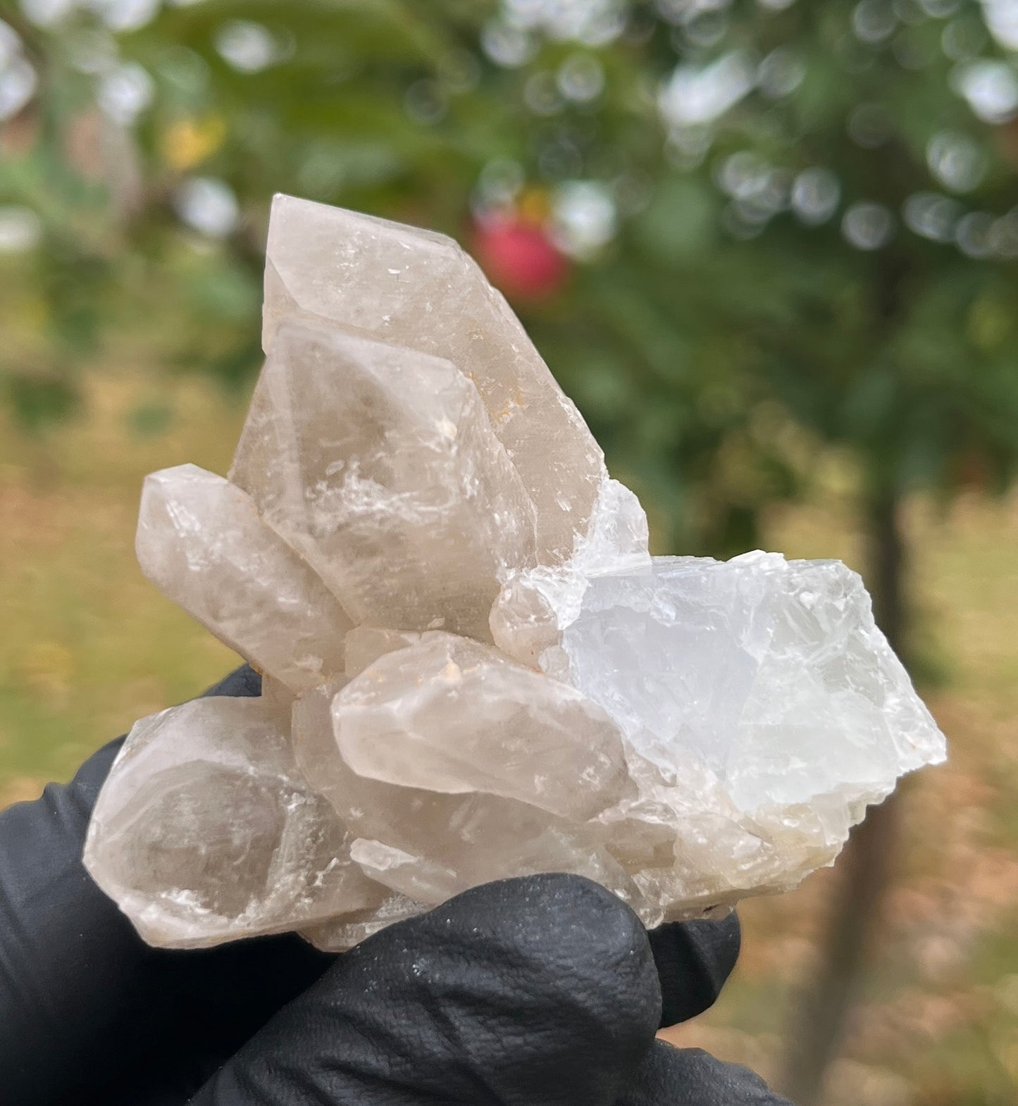 Blue Fluorite on Quartz Crystal Specimen | Raw Mineral Cluster | Collector Stone | Healing Crystal Home Decor