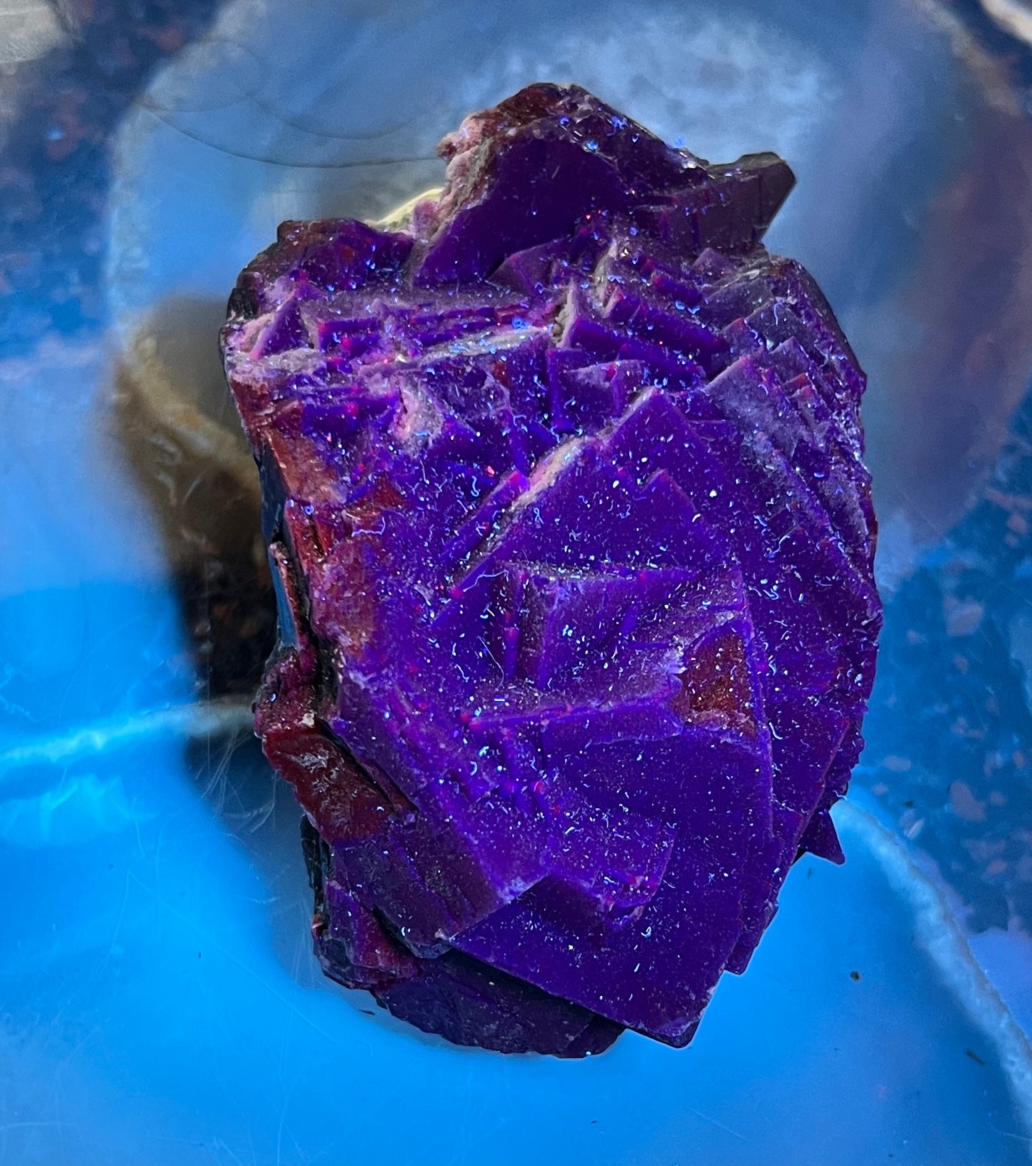 Rare Black Rose Fluorite Specimen – UV Reactive "Glow" Crystal – Natural Raw Fluorite