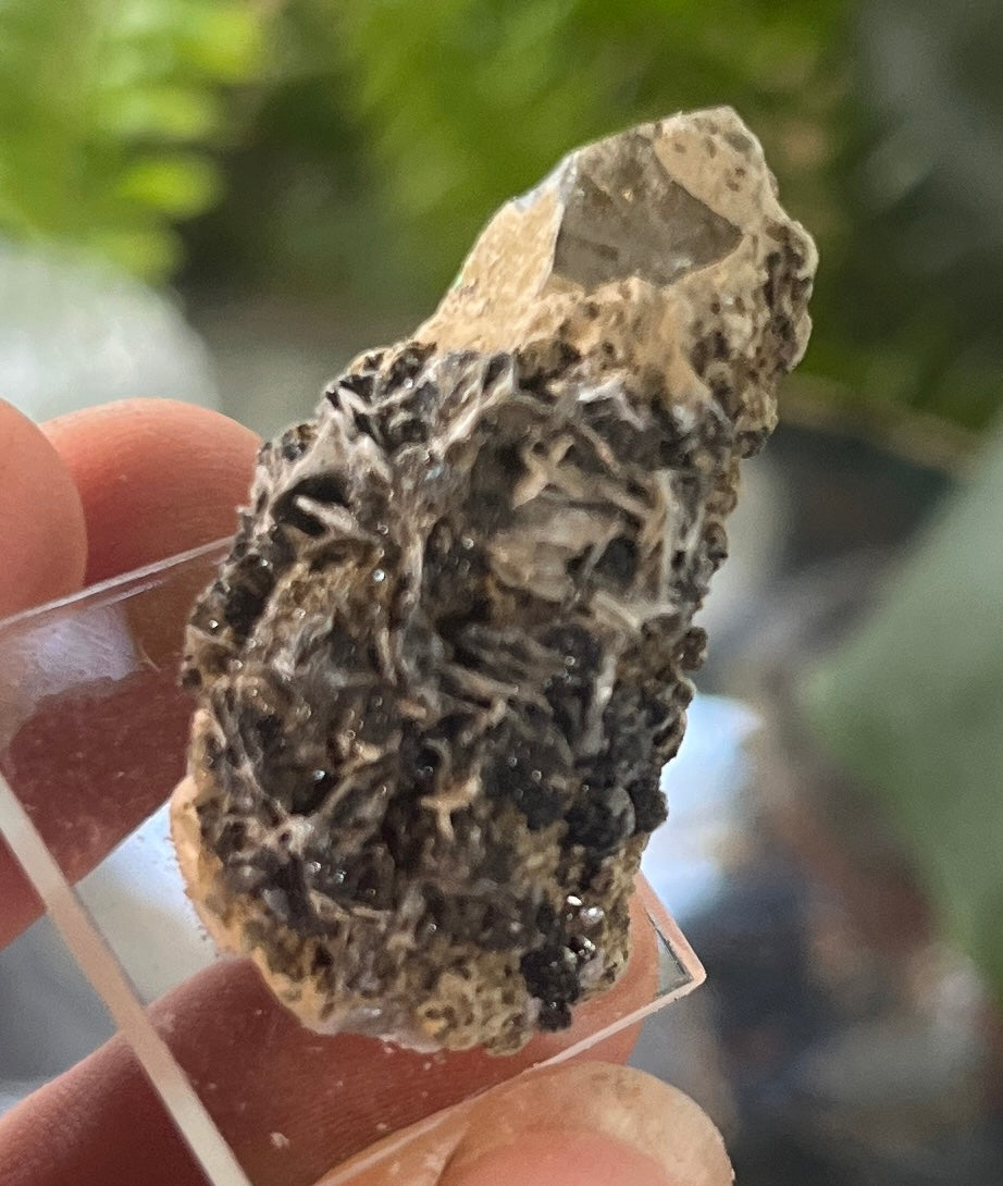 Arsenopyrite on Quartz Crystal Cluster | Metallic Arsenopyrite Mineral Specimen