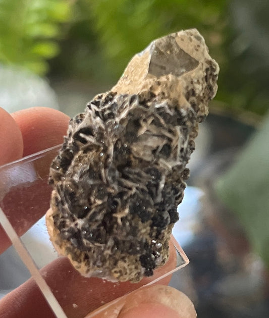 Arsenopyrite on Quartz Crystal Cluster | Metallic Arsenopyrite Mineral Specimen