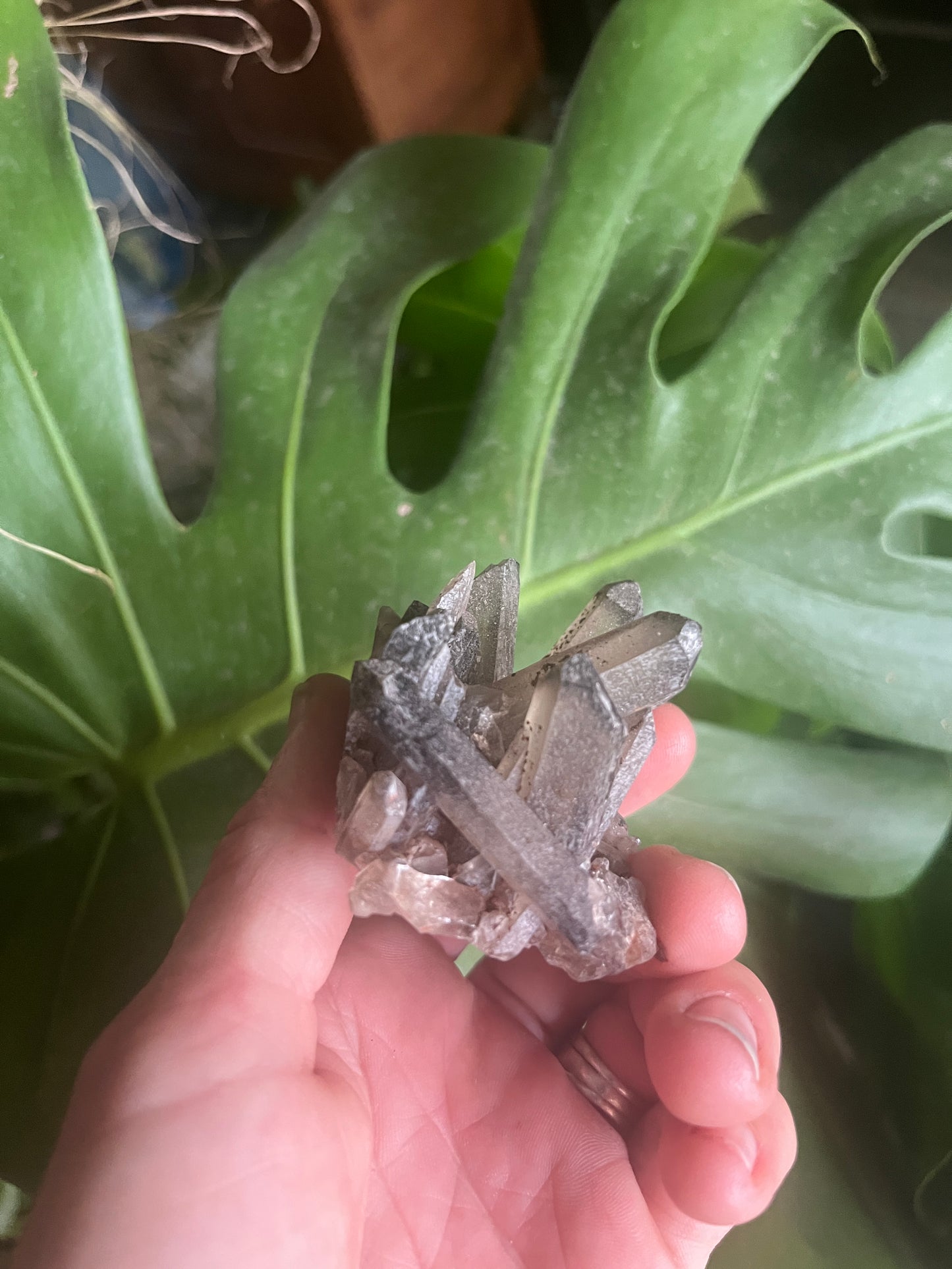 Natural Smoky Quartz Cluster | Dark Crystal Point Specimen | Healing Crystal for Grounding & Protection | Rare Home Decor Gift